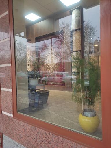 عکس فرش بهشتی 