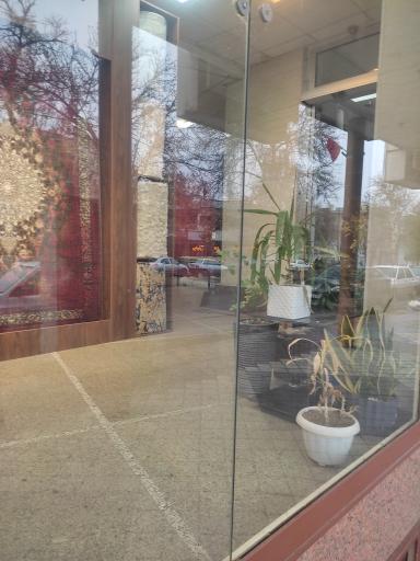 عکس فرش بهشتی 