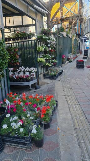 عکس گلفروشی جهان کودک