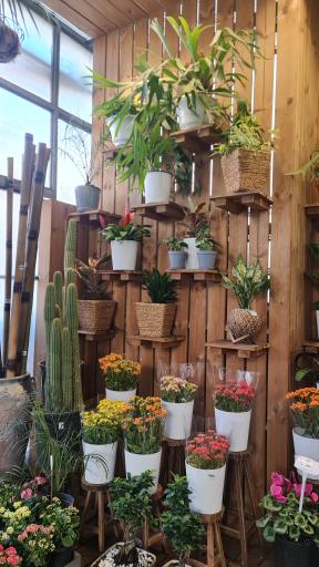 عکس گلفروشی جهان کودک