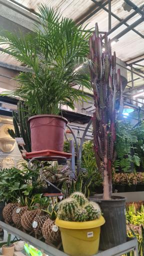 عکس گلفروشی جهان کودک