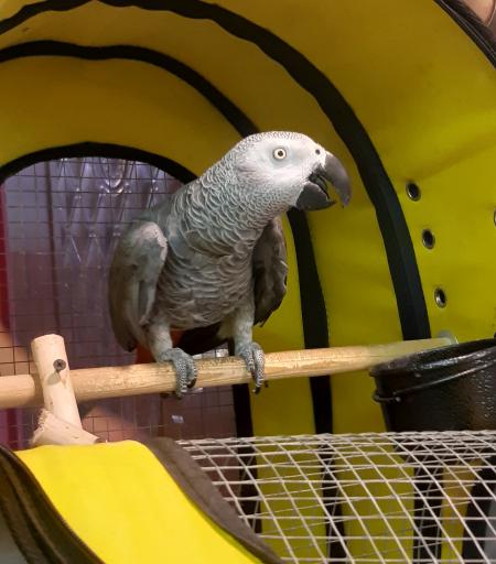 عکس دامپزشکی کلینیک حیوانات