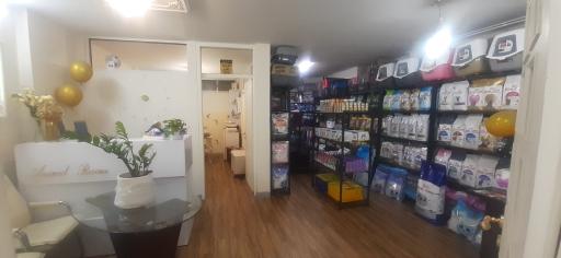 عکس دامپزشکی کلینیک حیوانات