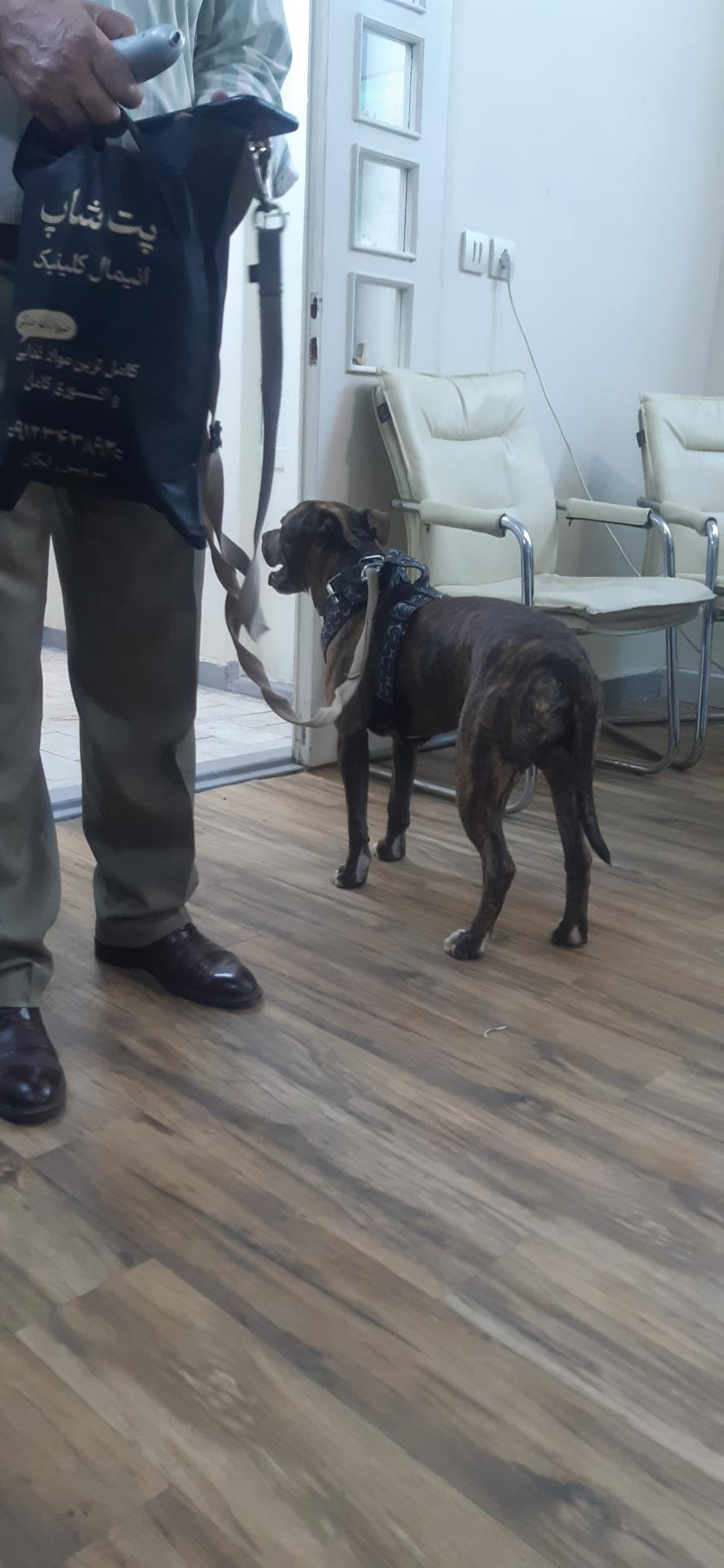 عکس دامپزشکی کلینیک حیوانات