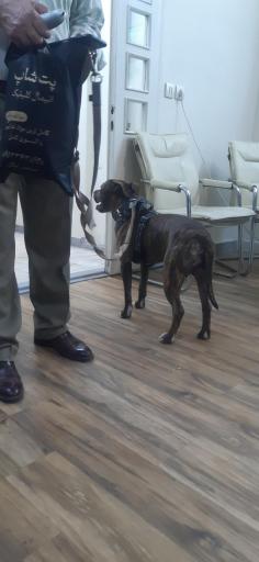 عکس دامپزشکی کلینیک حیوانات