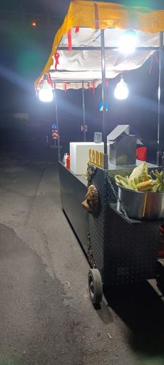 عکس عمو تپل