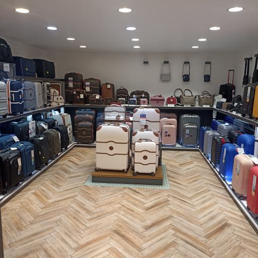 فروشگاه کیف و چمدان دلسی