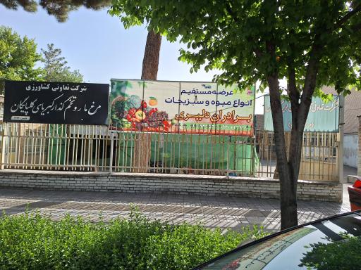 عکس میوه و سبزی فروشی برادران دلیری