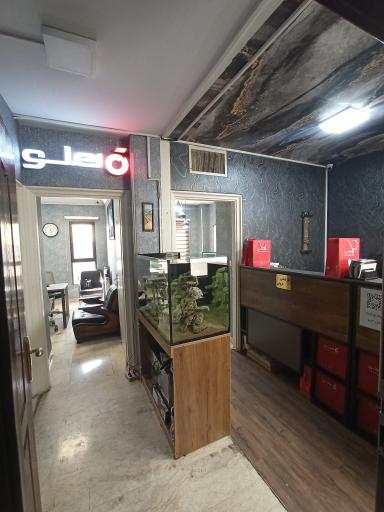 نمایندگی رسمی هلو (آداک نت ایرانیان)