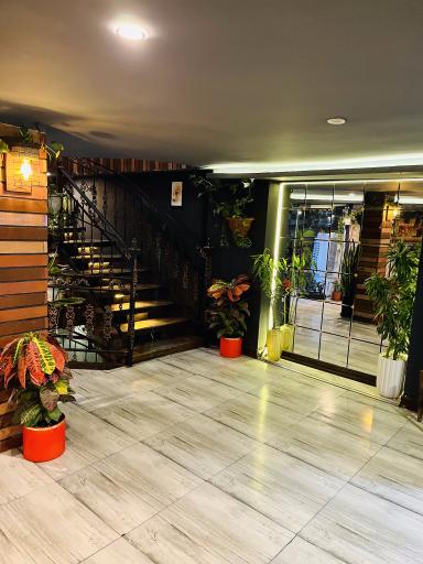 عکس کافه بارشین