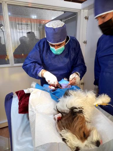 عکس کلینیک دامپزشکی یاس فولادشهر