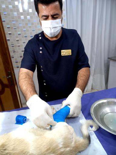 عکس کلینیک دامپزشکی یاس فولادشهر