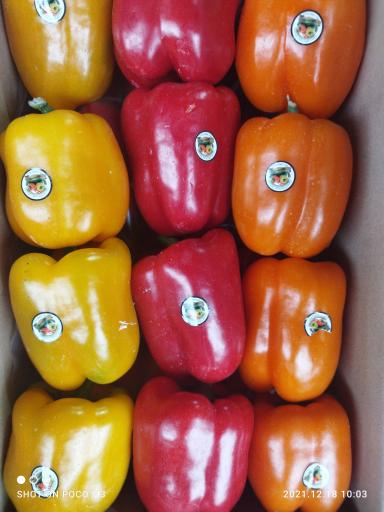 عکس فروشگاه آنلاین میوه نت (لیموشیرین)