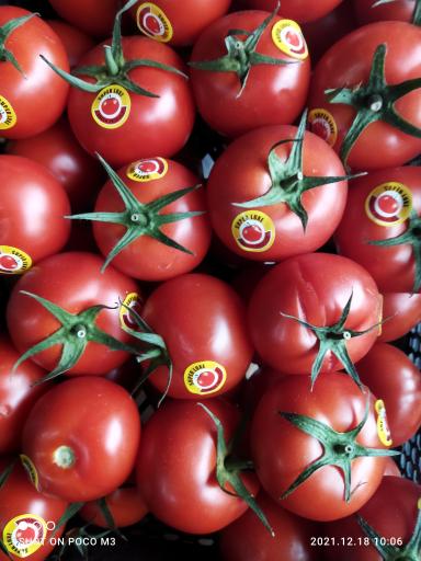 عکس فروشگاه آنلاین میوه نت (لیموشیرین)