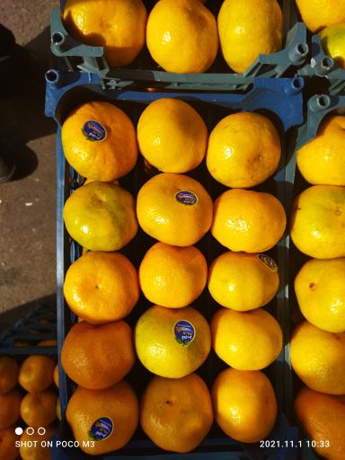 عکس فروشگاه آنلاین میوه نت (لیموشیرین)