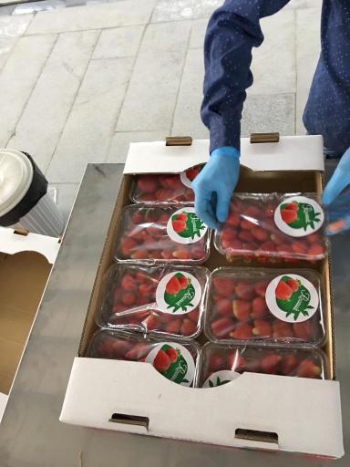 عکس فروشگاه آنلاین میوه نت (لیموشیرین)