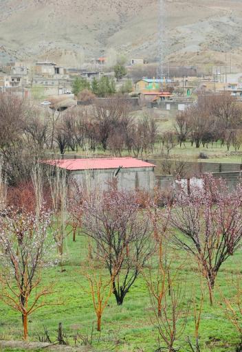 عکس خلکانلو