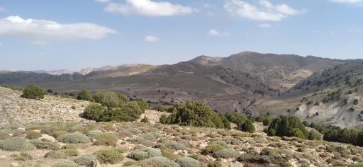 عکس خلکانلو