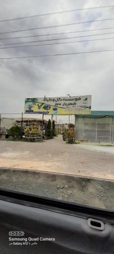 عکس موسسه گل وگیاه شهریار سبز