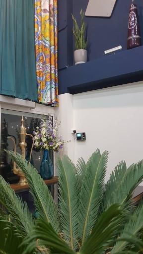 رستوران برکتی