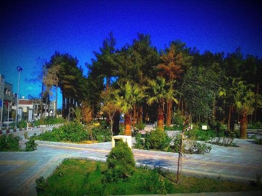 عکس بوستان بلوچ
