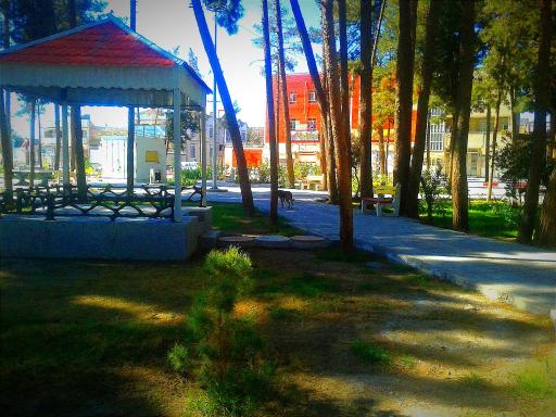 عکس بوستان بلوچ