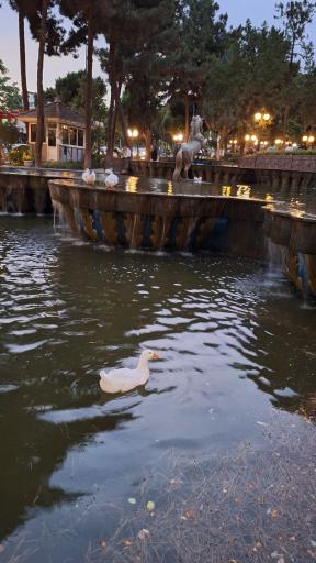 عکس میدان استقلال (اسبی)