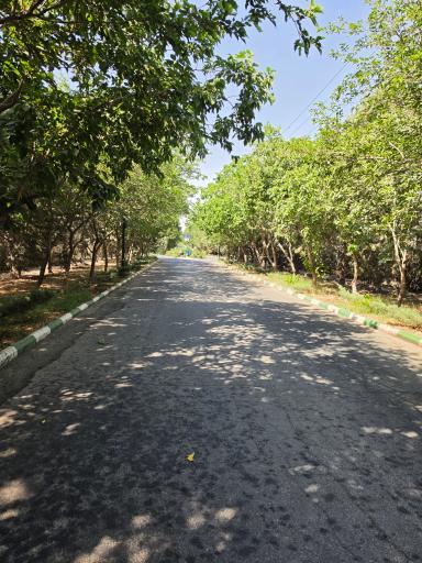عکس باغشهر آرین