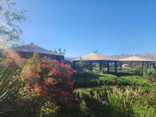 عکس باغشهر آرین