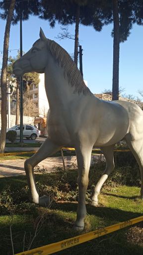 عکس میدان استقلال (اسبی)