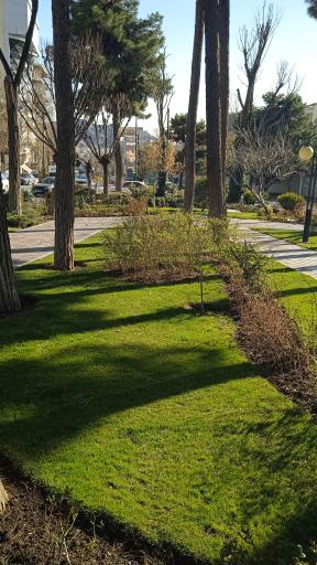 عکس میدان استقلال (اسبی)