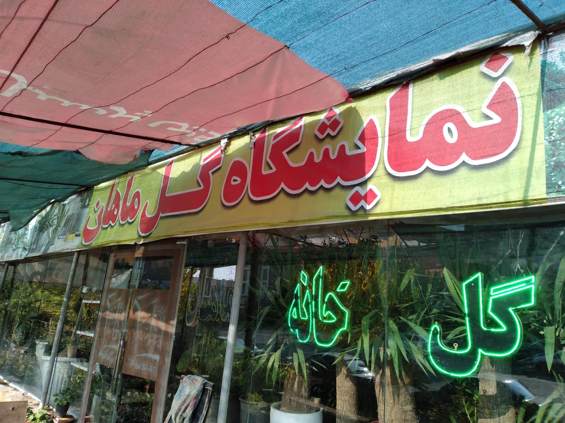 عکس گل فروشی ماهان