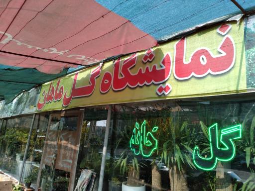 عکس گل فروشی ماهان