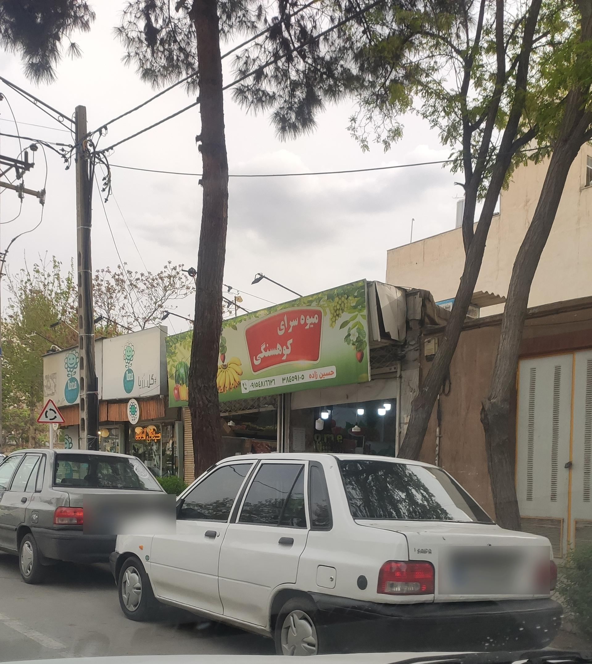 عکس میوه سرای کوهسنگی 