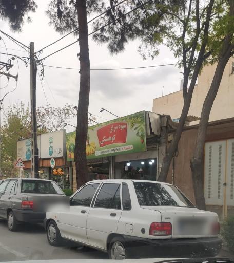 عکس میوه سرای کوهسنگی 