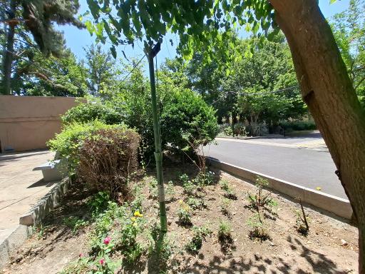 عکس بهزیستی شهید ذوالفقاری