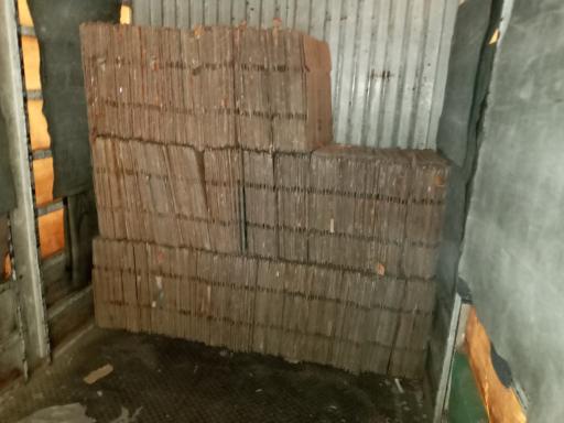 عکس پخش کارتن خالی سید