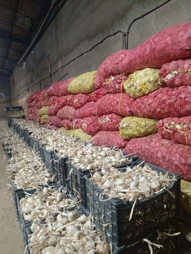 عکس محصولات ارگانیک راد