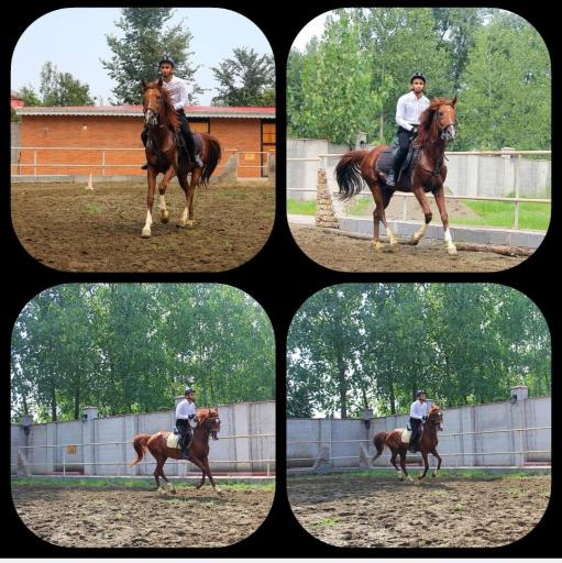 عکس باشگاه سوارکاری ستارگان