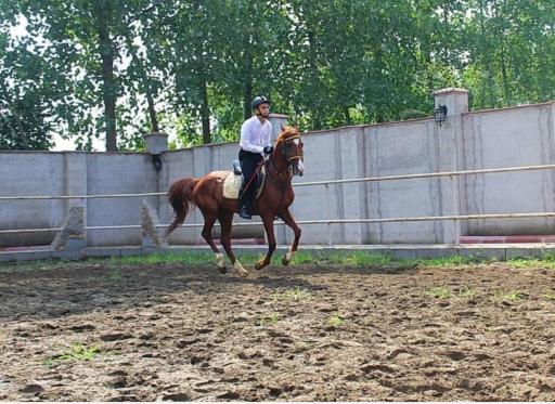 عکس باشگاه سوارکاری ستارگان