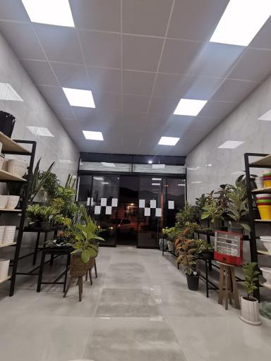 عکس گلخانه یوکا (درویشوند)