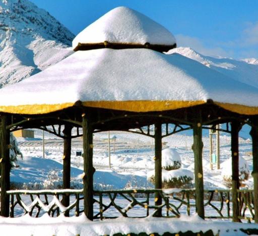 عکس بوستان گل ها