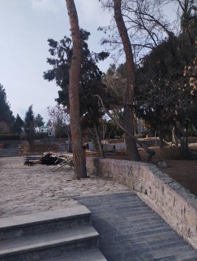 سرویس بهداشتی عمومی