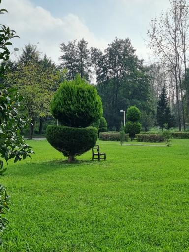 عکس دانشکده منابع طبیعی صومعه سرا