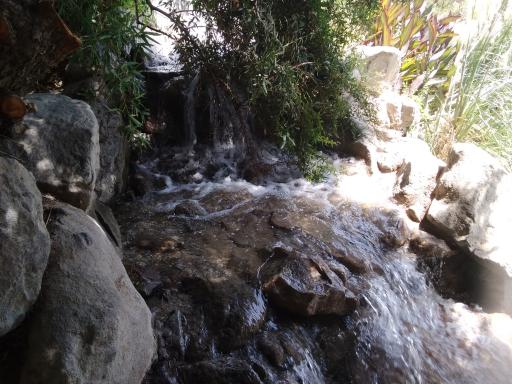 عکس بوستان گل ها