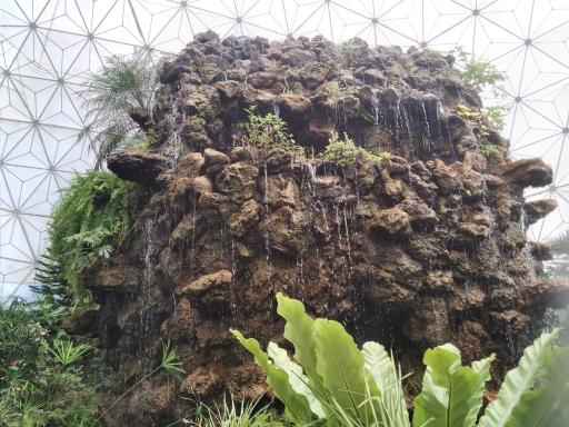 عکس بوستان گل ها