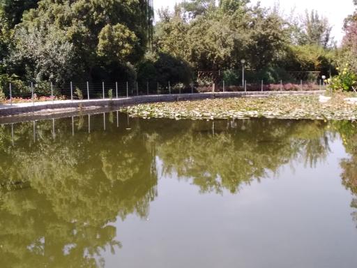 عکس بوستان گل ها