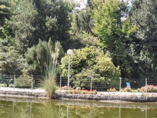 عکس بوستان گل ها