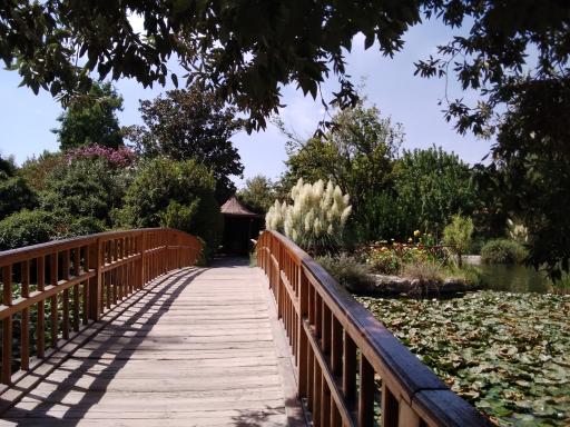 عکس بوستان گل ها