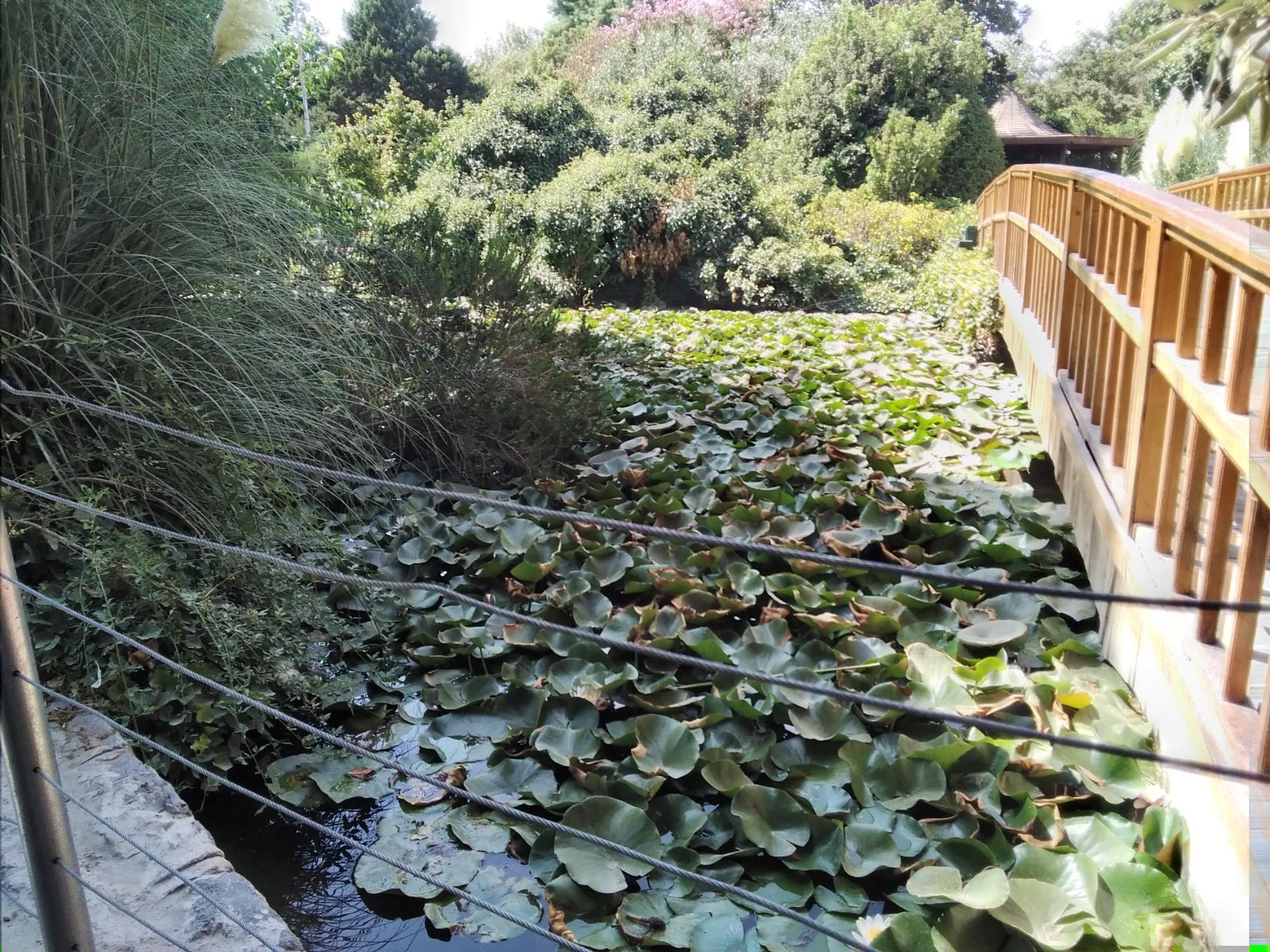 عکس بوستان گل ها